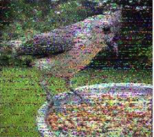 tecsun print bird print shortwave radio tecsun 310et