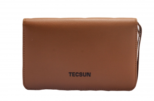 Tecsun Pl-990x Radio