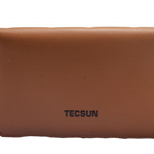 Tecsun Pl-990x Radio