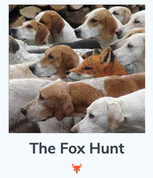 fox hunt radio comp